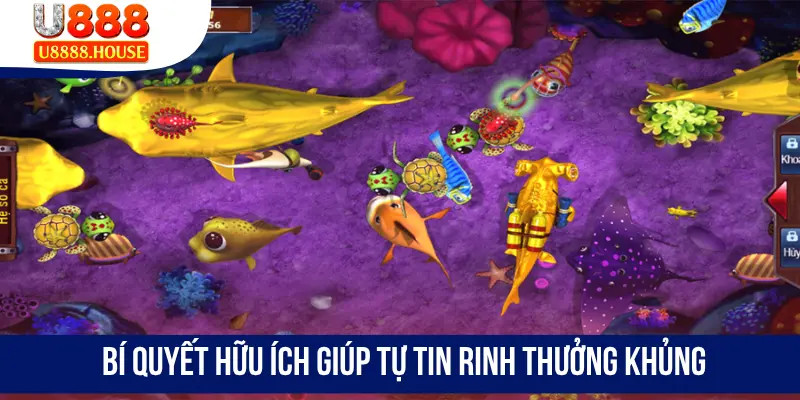 Bí quyết hữu ích giúp tự tin rinh thưởng khủng