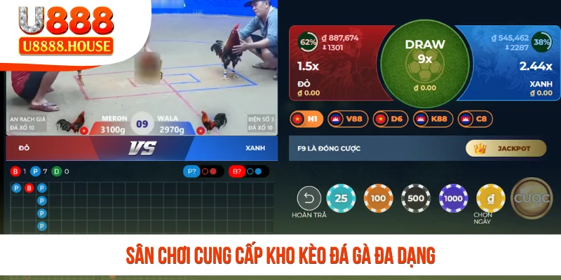 Sân chơi cung cấp kho kèo đá gà đa dạng