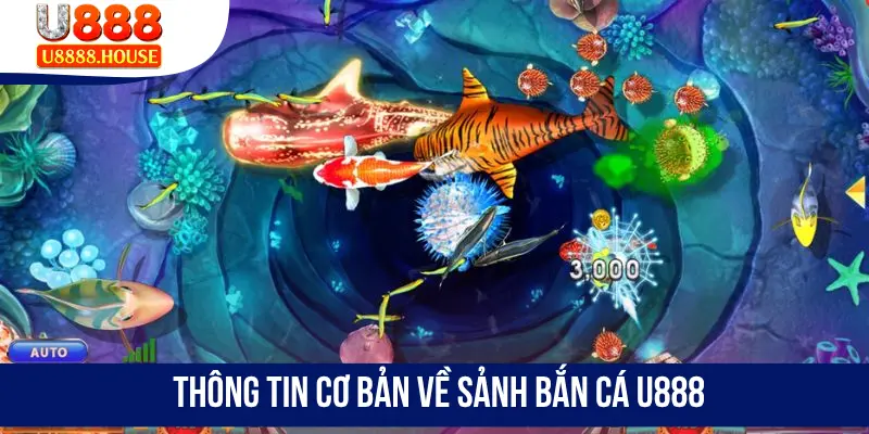 Thông tin cơ bản về sảnh bắn cá U888
