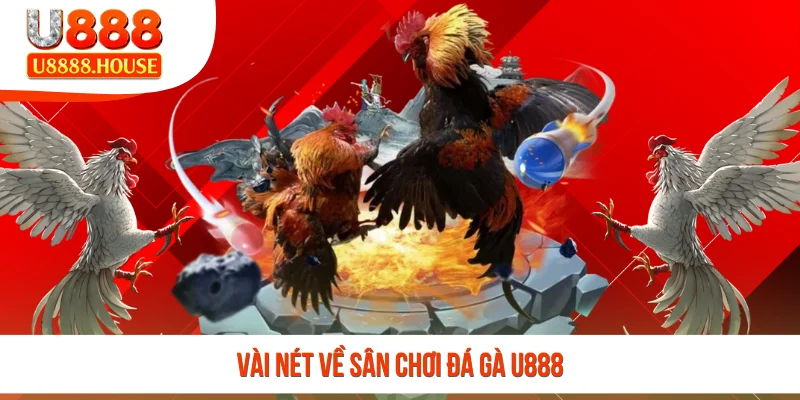 Vài nét về sân chơi đá gà U888